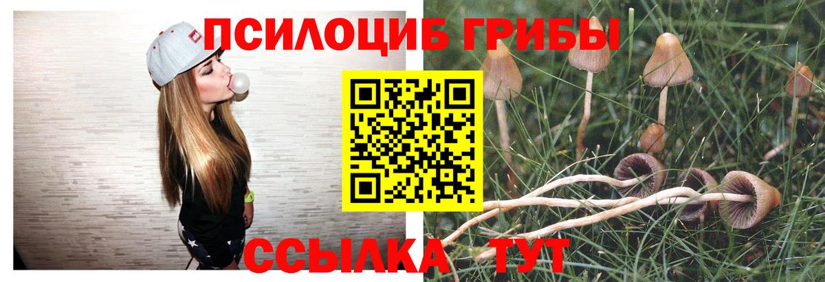 Псилоцибиновые грибы MAGIC MUSHROOMS  Вход с VPN  Псилоцибиновые грибы прущие грибы  Казань 